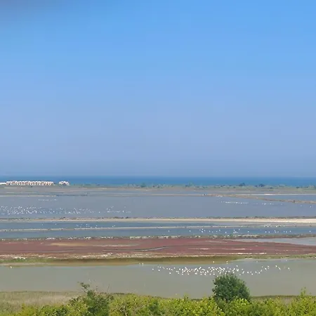 アパート Wild Lakes
